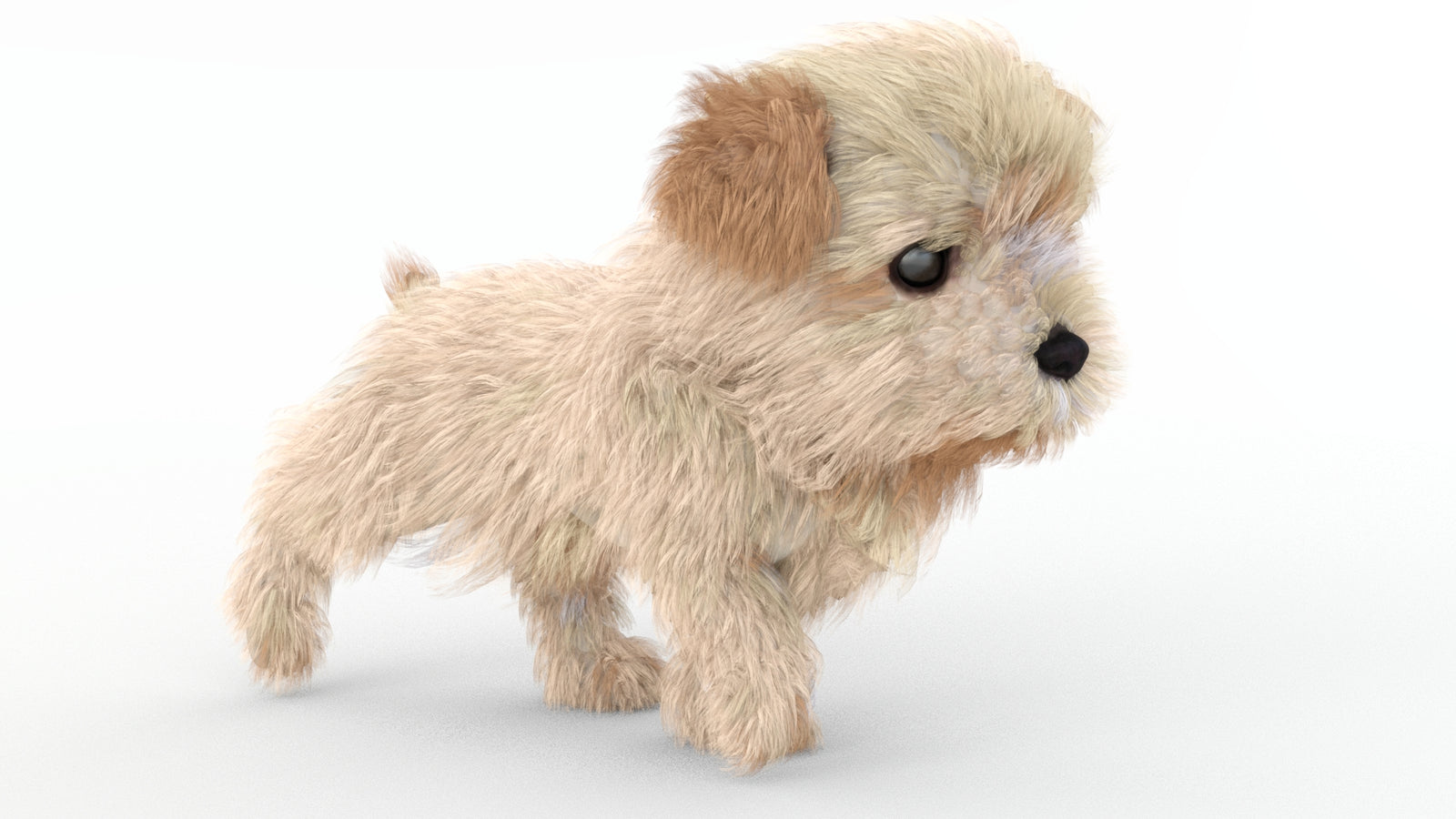 Animated Maltipoo Dog Puppy 3D Model Alpha Hair 360° view 4 frame 22