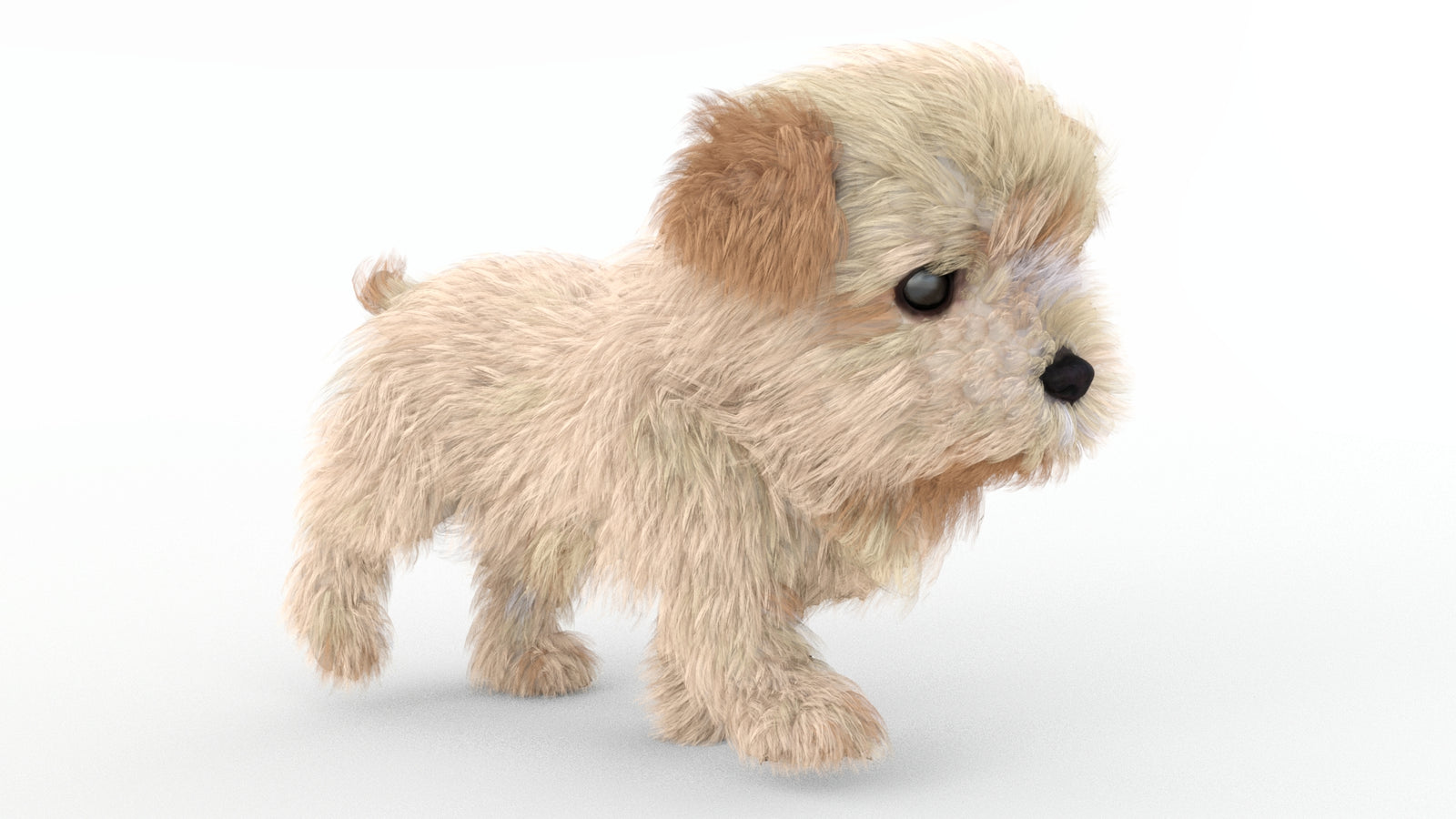 Animated Maltipoo Dog Puppy 3D Model Alpha Hair 360° view 4 frame 26