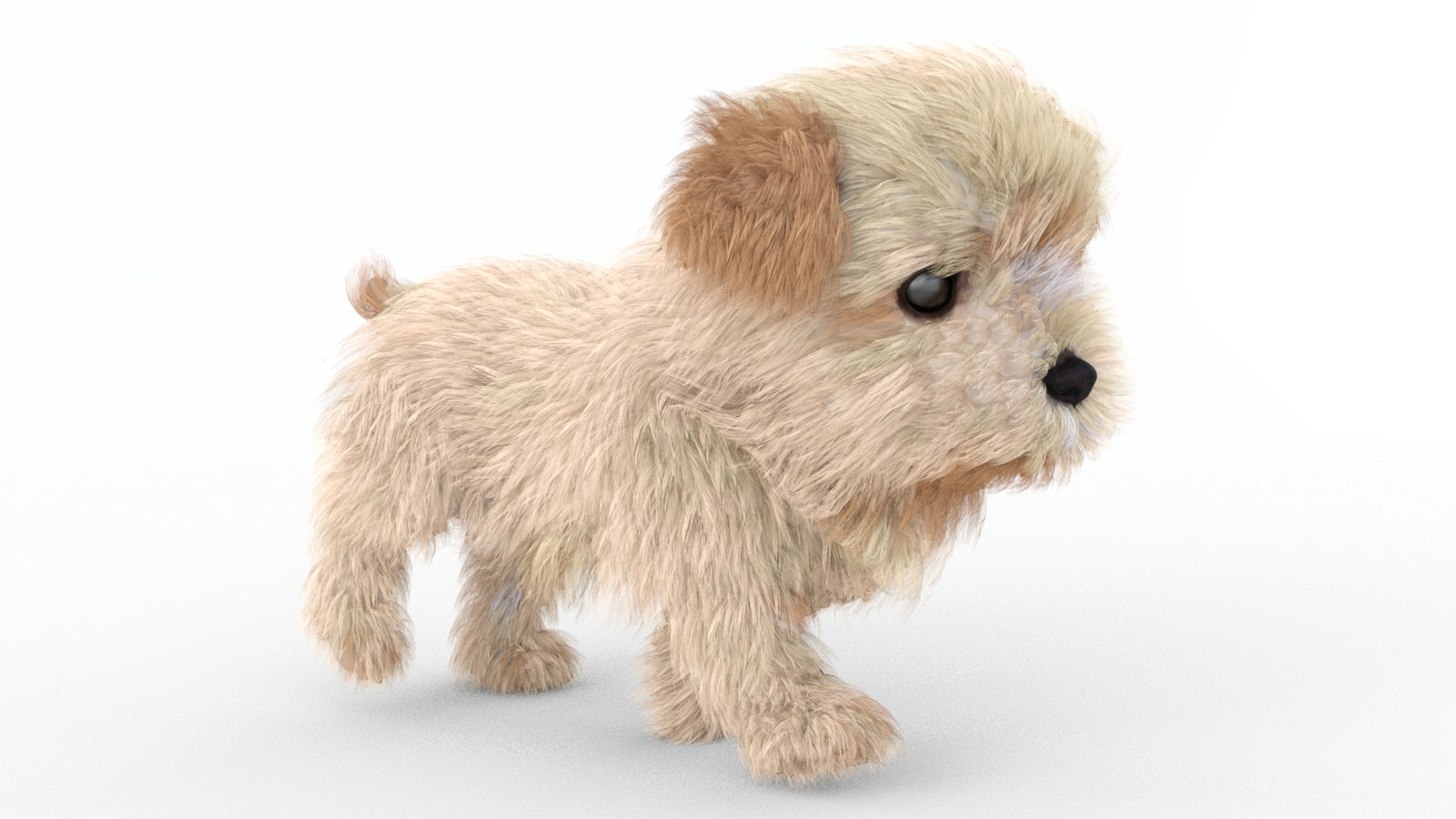 Animated Maltipoo Dog Puppy 3D Model Alpha Hair 360° view 4 frame 27