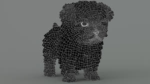 Maltipoo Dog 3D Model Wireframe View Subdivision Level 0 Thumbnail
