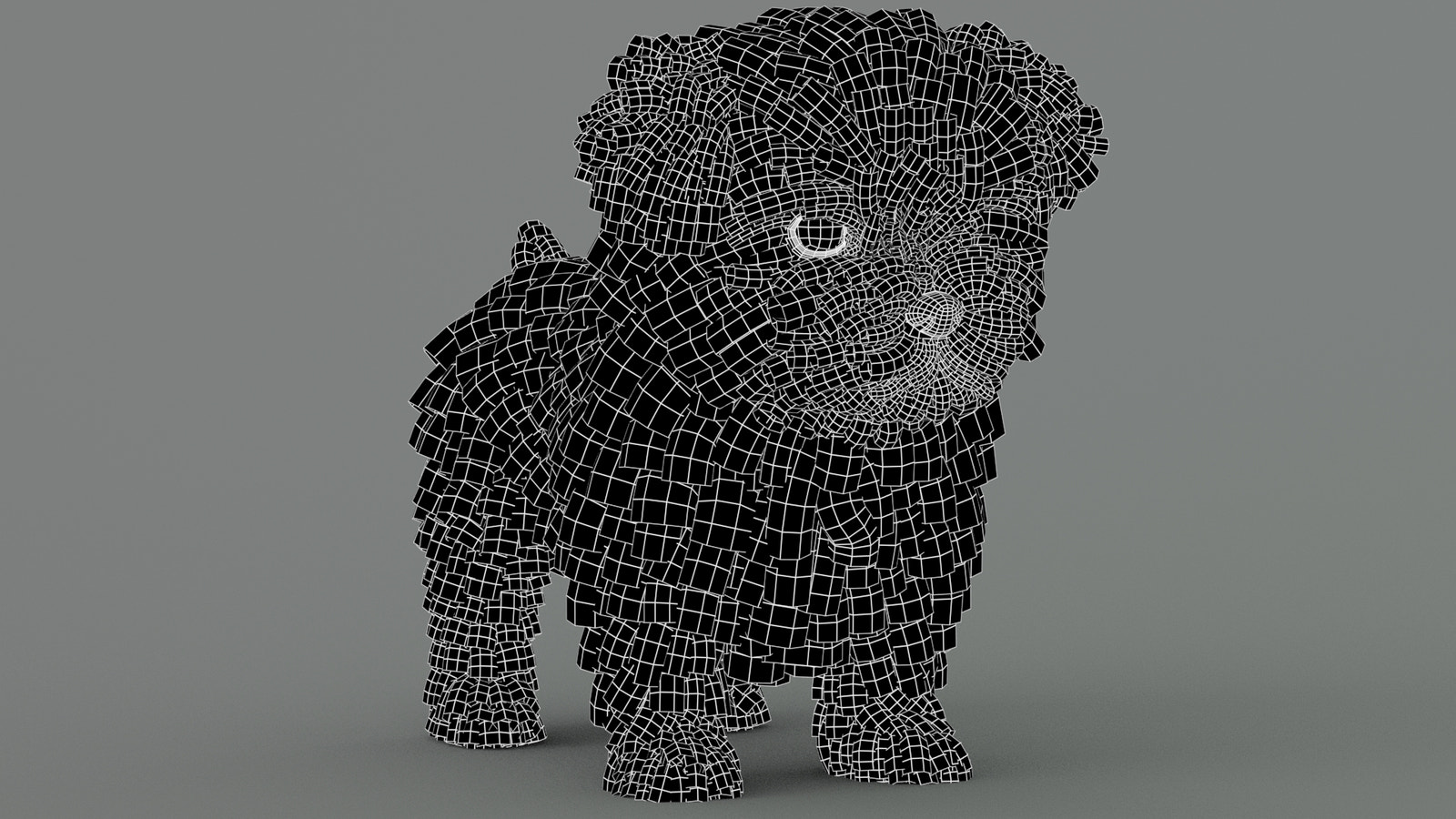 Maltipoo Dog 3D Model Wireframe View Subdivision Level 0