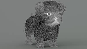 Maltipoo Dog 3D Model Wireframe View Subdivision Level 1 Thumbnail