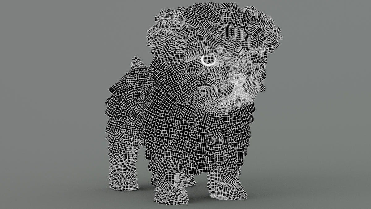 Maltipoo Dog 3D Model Wireframe View Subdivision Level 1