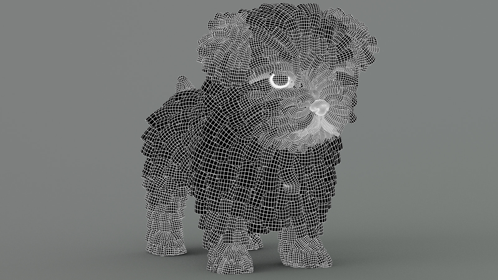 Maltipoo Dog 3D Model Wireframe View Subdivision Level 1