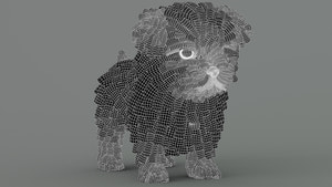 Maltipoo Dog 3D Model Wireframe View Subdivision Level 1 Thumbnail