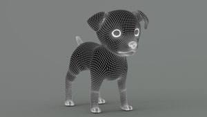 Maltipoo Dog 3D Model Wireframe View Subdivision Level 1 Thumbnail