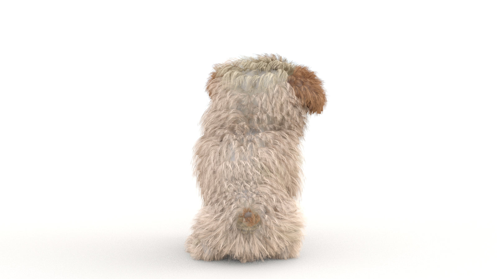 Animated Maltipoo Dog Puppy 3D Model Alpha Hair 360° view 2 frame 36