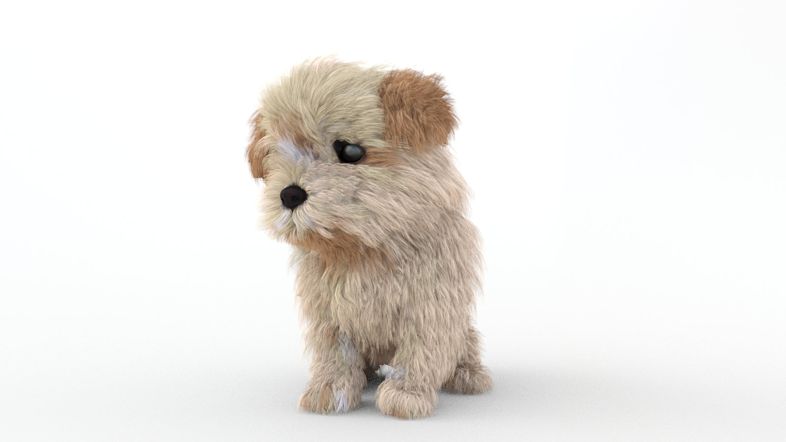 Animated Maltipoo Dog Puppy 3D Model Alpha Hair 360° view 2 frame 70