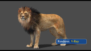 360° turntable preview — rigged lion 3D model with polygonal mane, V-Ray look Thumbnail