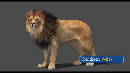 Lion 3D Model Rigged