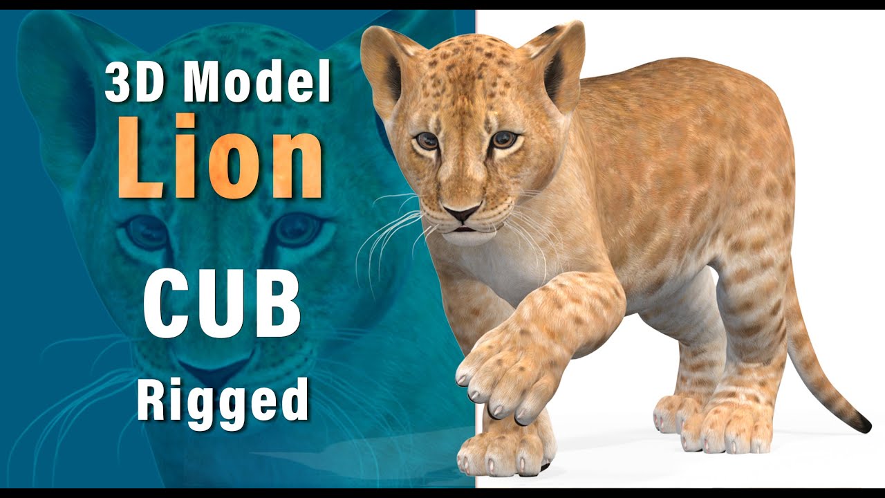 Animated Lion Cub 3D Model