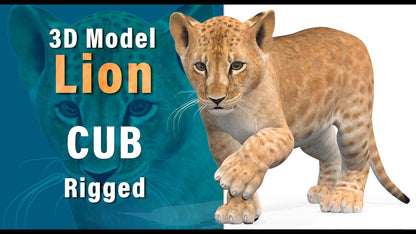 Animated Lion Cub 3D Model