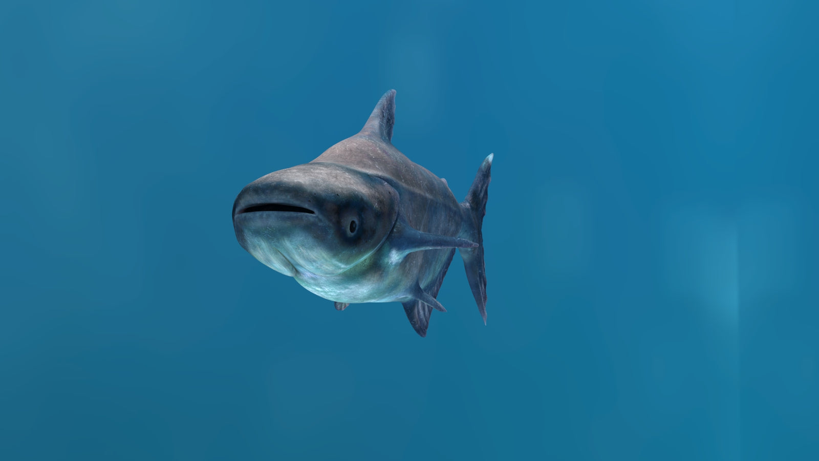 Rigged Mekong Giant Catfish 3D Model 360° view 1 frame 7