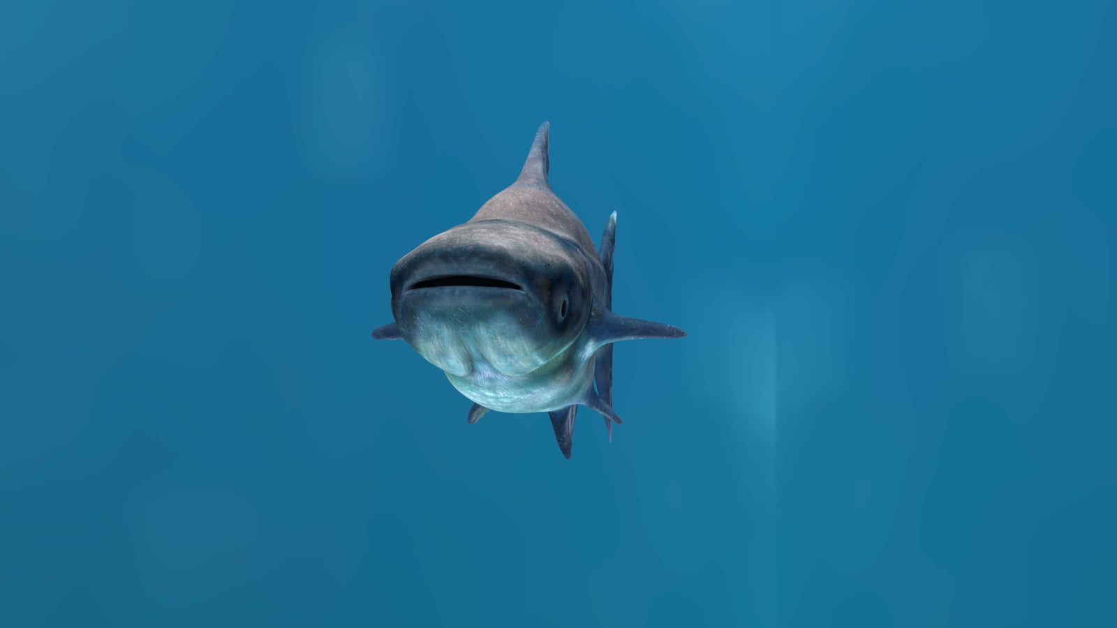 Animated Mekong Giant Catfish 3D Model 360° view 1 frame 8