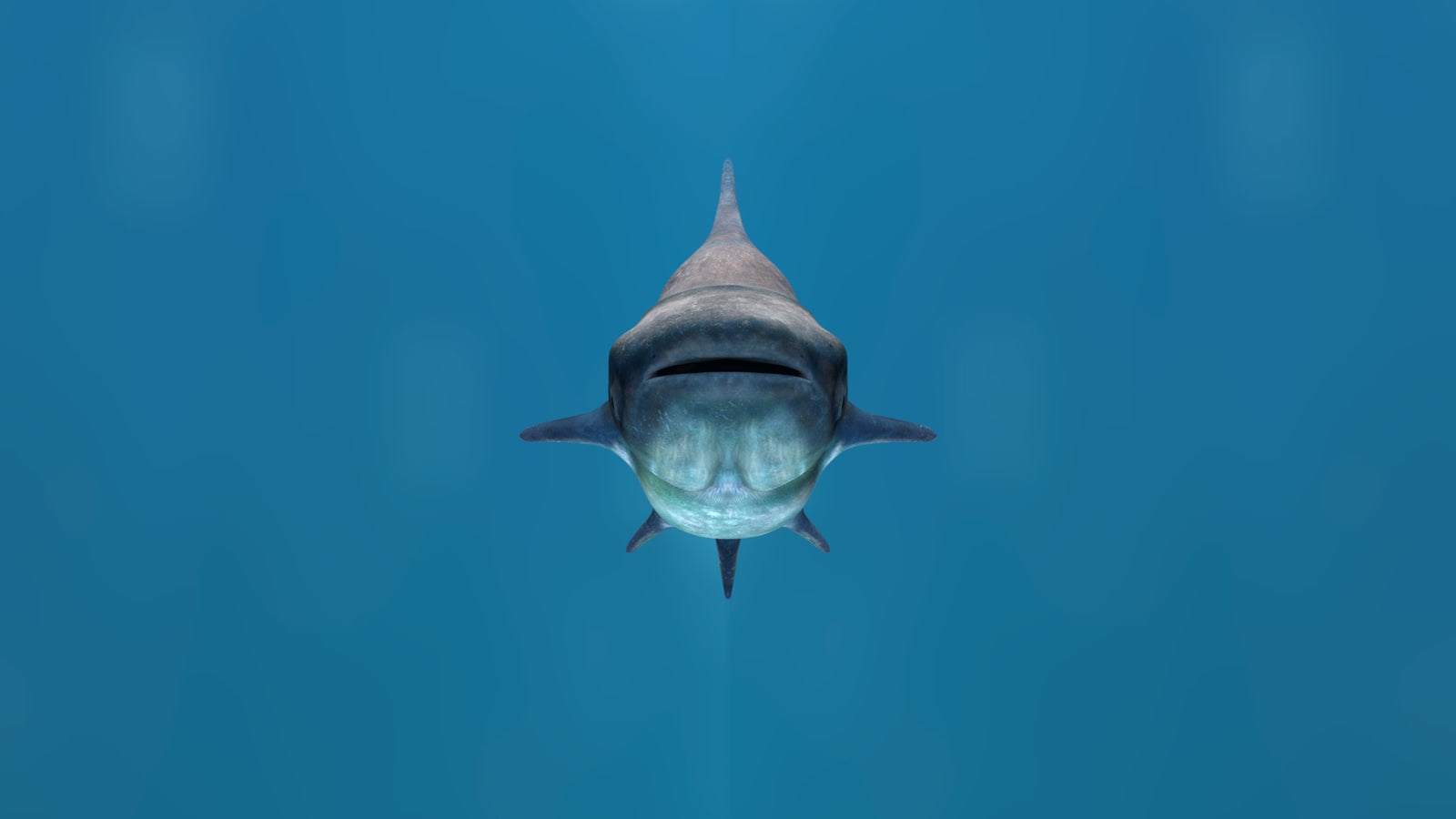 Animated Mekong Giant Catfish 3D Model 360° view 1 frame 9