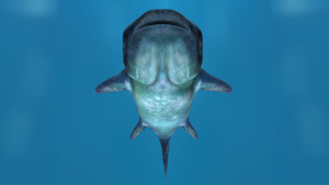 Mekong Giant Catfish 3D Model Thumbnail