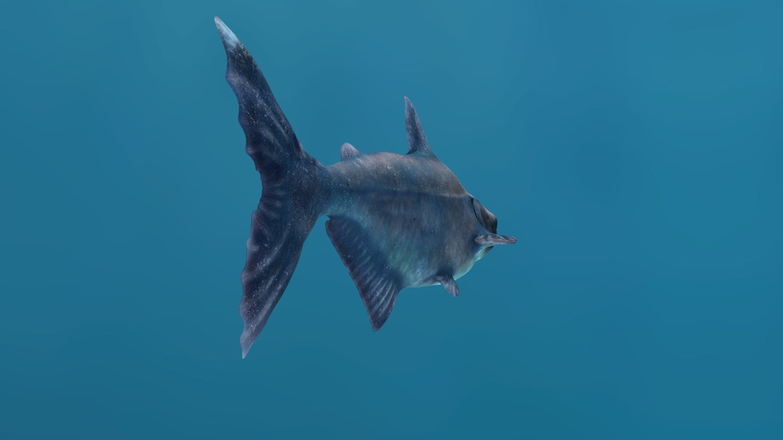 Animated Mekong Giant Catfish 3D Model 360° view 1 frame 25