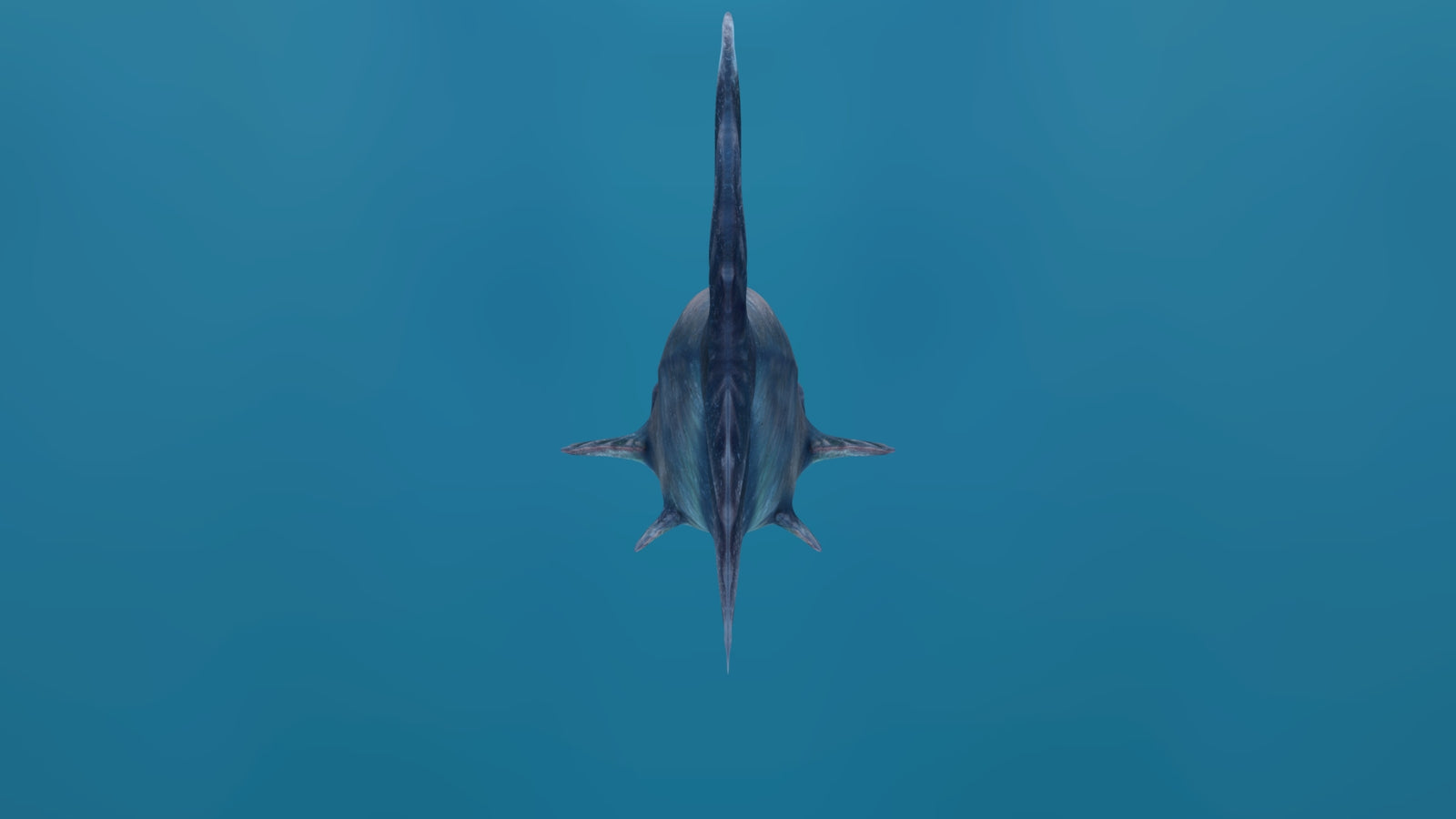 Rigged Mekong Giant Catfish 3D Model 360° view 1 frame 27