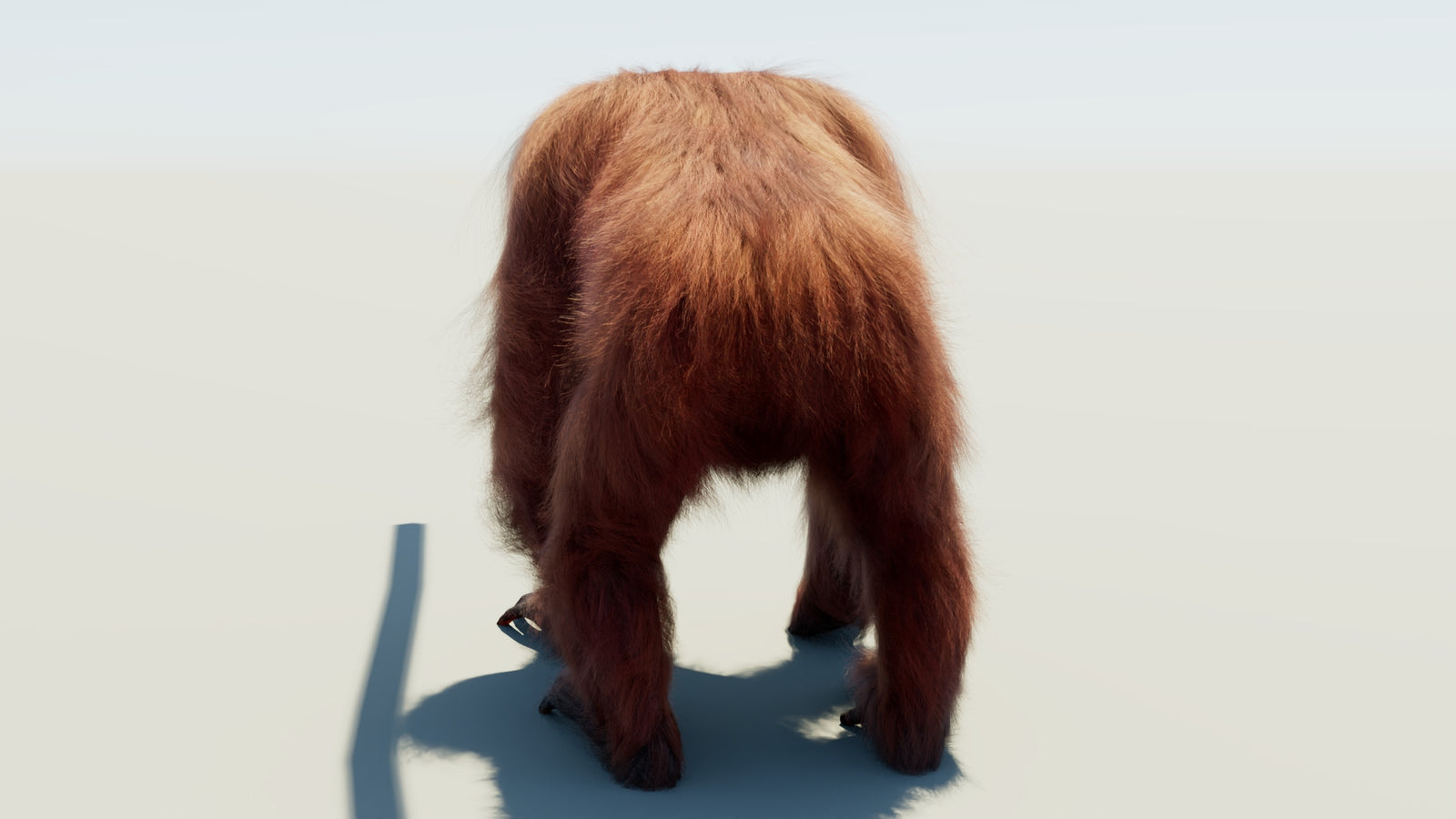 Orangutan Rigged Fur 3D Model 360° view 1 frame 19