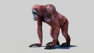 Realistic Orangutan Female 3D Model for Game Thumbnail