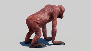 Realistic Orangutan Female 3D Model for Game Thumbnail