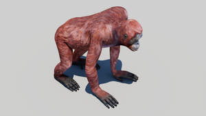 Realistic Orangutan Female 3D Model for Game Thumbnail
