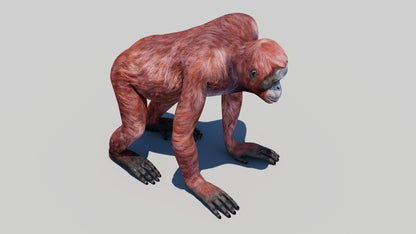 Realistic Orangutan Female 3D Model for Game