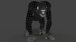 Realistic Orangutan 3D Model: Wireframe View - Subdivision Level 0 Thumbnail