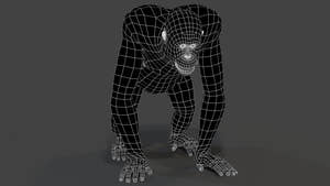 orangutan 3d model wireframe view level 0 Thumbnail