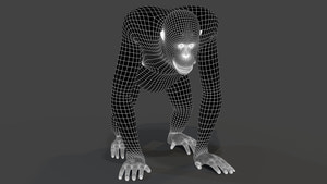 Realistic Orangutan 3D Model: Wireframe View - Subdivision Level 1 Thumbnail