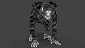orangutan 3d model wireframe view level 1 Thumbnail