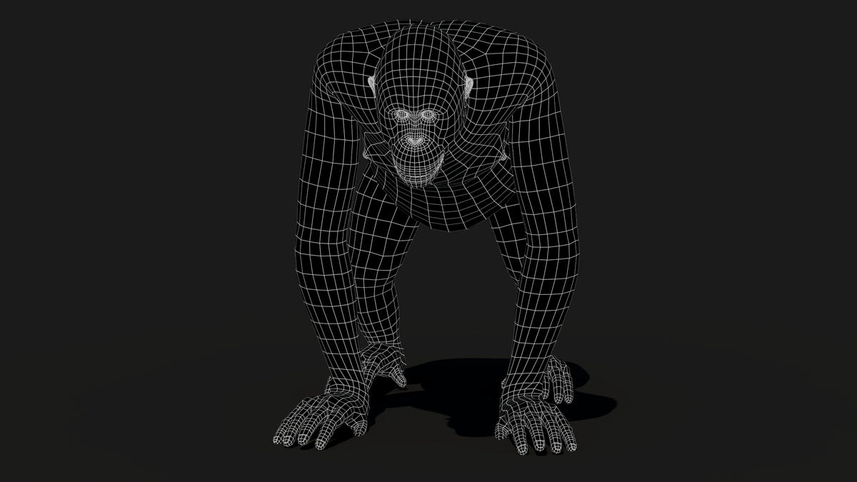 Orangutan 3D Model - Hair and Fur