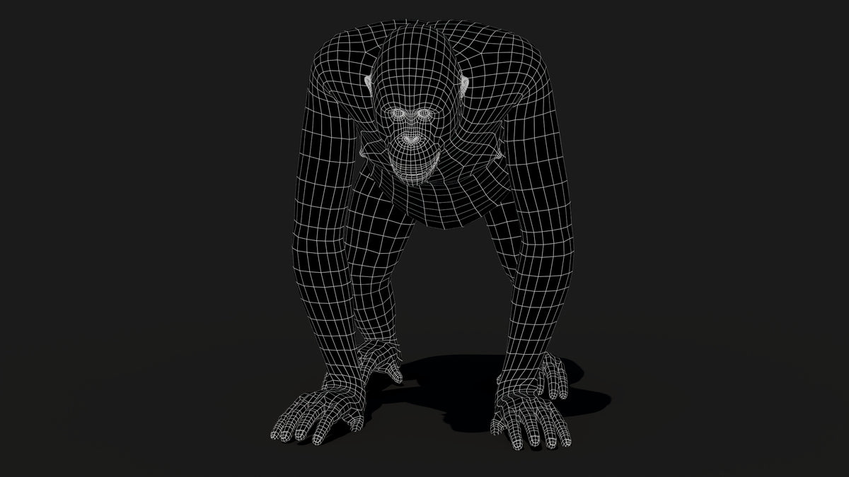 Orangutan 3D Model - Hair and Fur