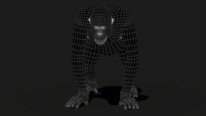 Orangutan Fur 3D Model Thumbnail