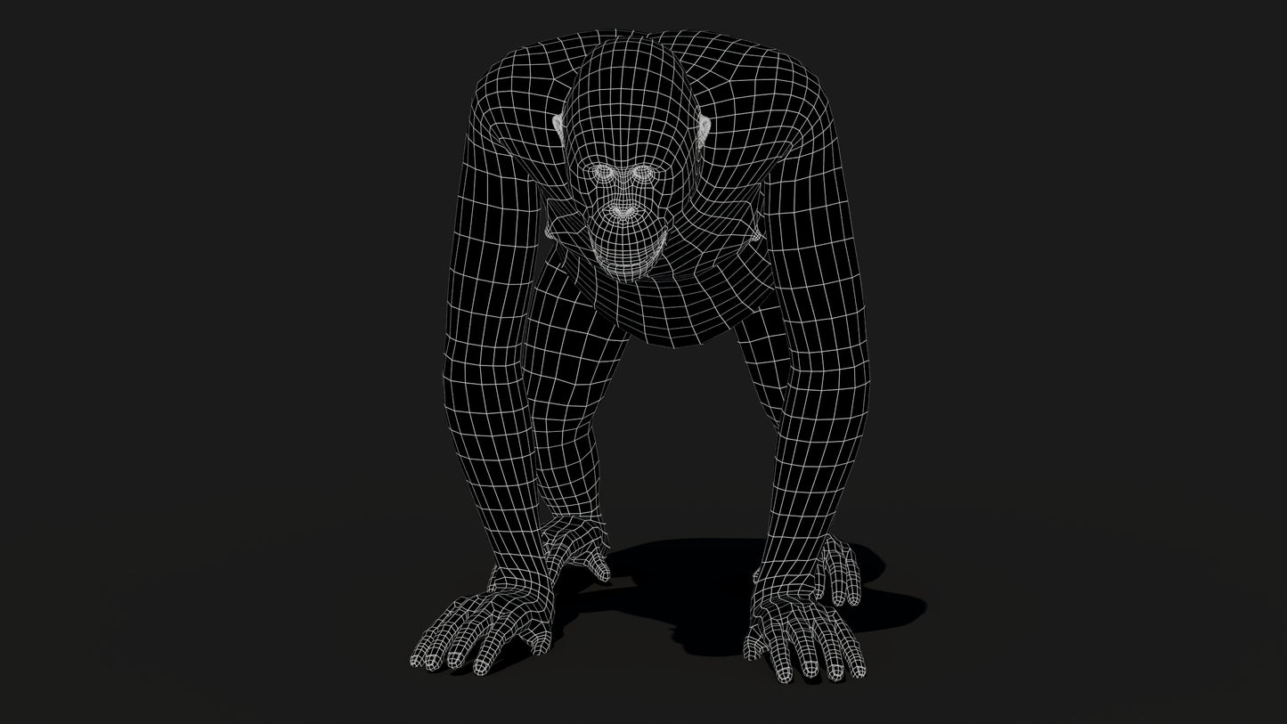 Oranguran Fur 3D Model