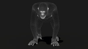 Orangutan Fur 3D Model Thumbnail