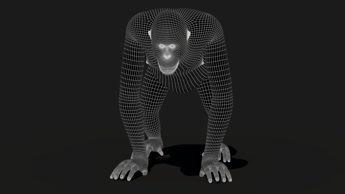 Orangutan 3D Model - Hair and Fur
