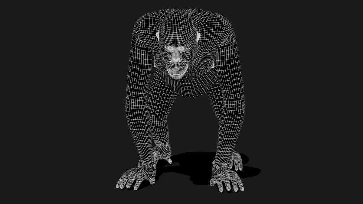 Orangutan 3D Model - Hair and Fur