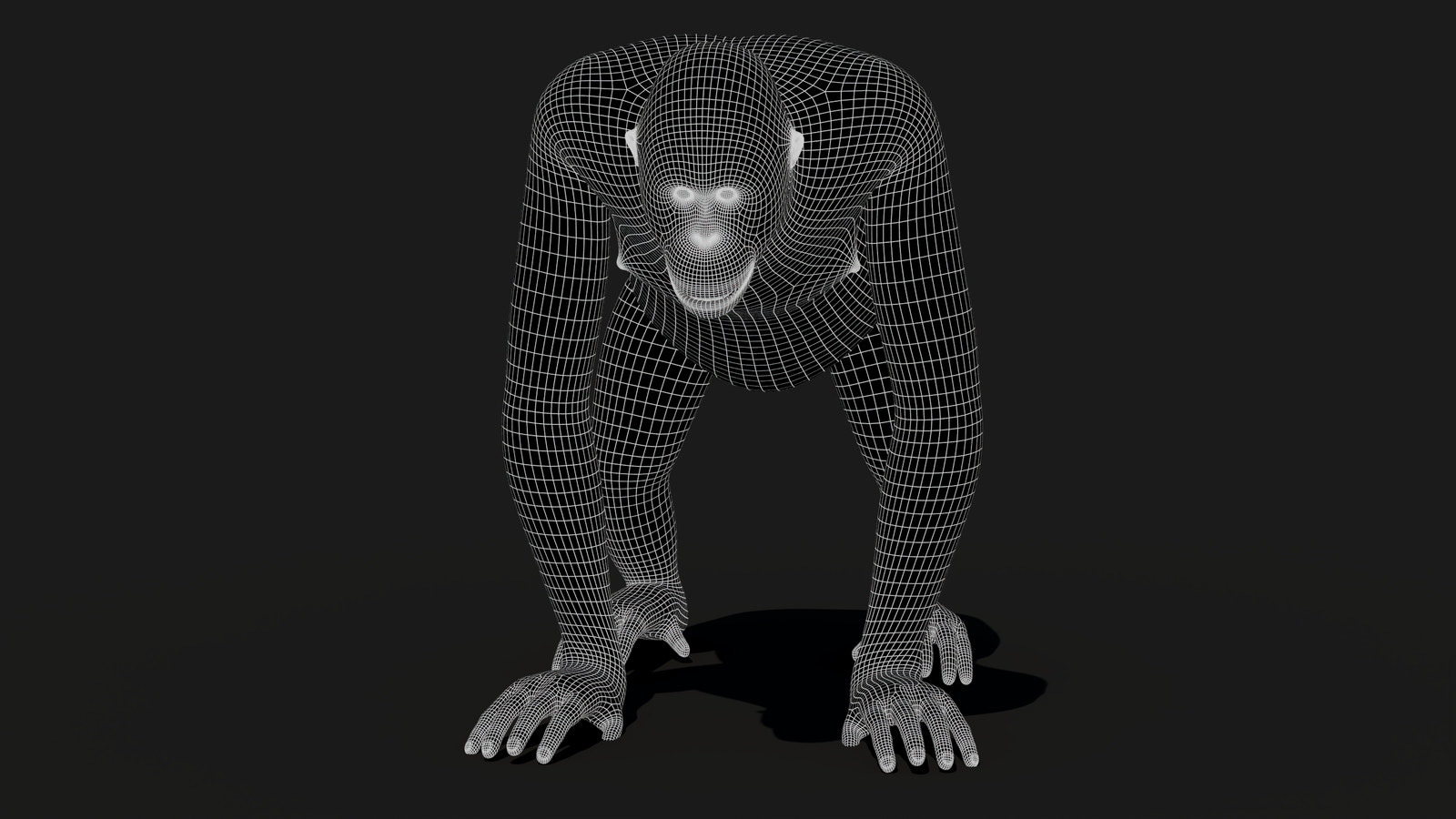 Orangutan Fur 3D Model