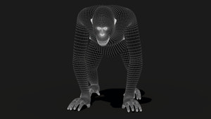 Orangutan Fur 3D Model Thumbnail