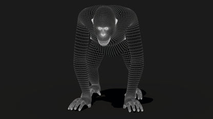 Oranguran Fur 3D Model