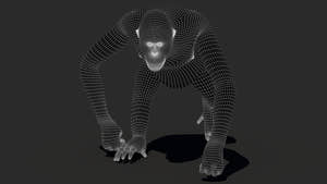Orangutan 3D Model Animated Fur Thumbnail