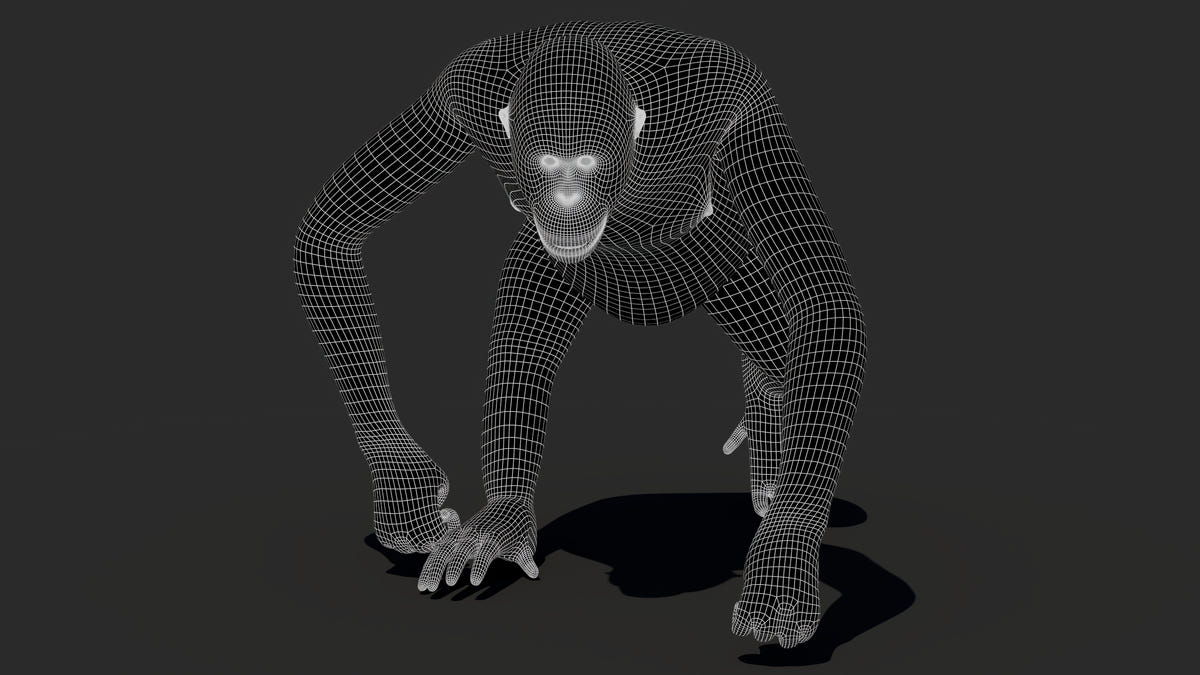 Animated Orangutan 3D Model - Hair and Fur