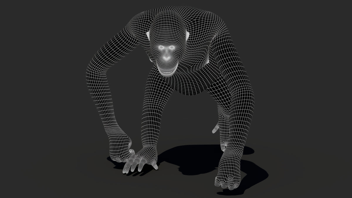 Animated Orangutan 3D Model - Hair and Fur