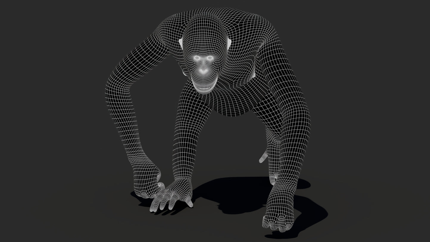 Orangutan 3D Model Animated Fur
