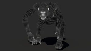 Orangutan 3D Model Animated Fur Thumbnail