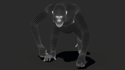 Orangutan 3D Model Animated Fur