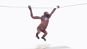 Animated Female Orangutan 3D Model for Download Thumbnail