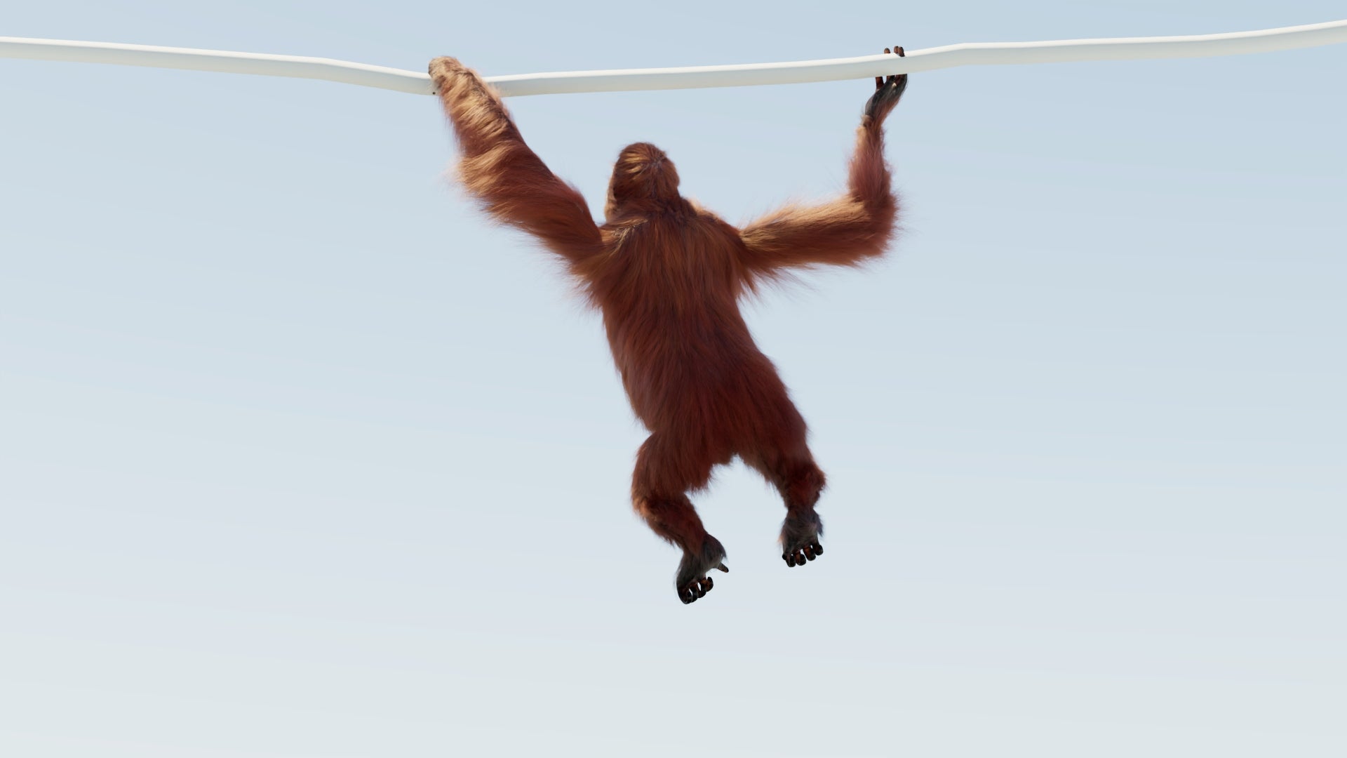 Animated Female Orangutan 3D Model with Fur