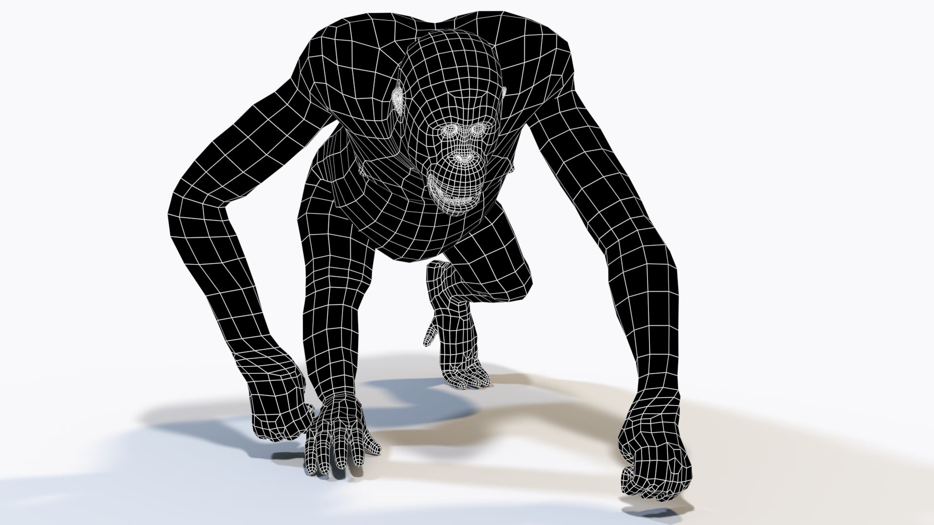 Female Orangutan 3D Model Wireframe View 0
